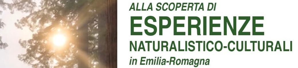 AllaScopertaDiEsperienze