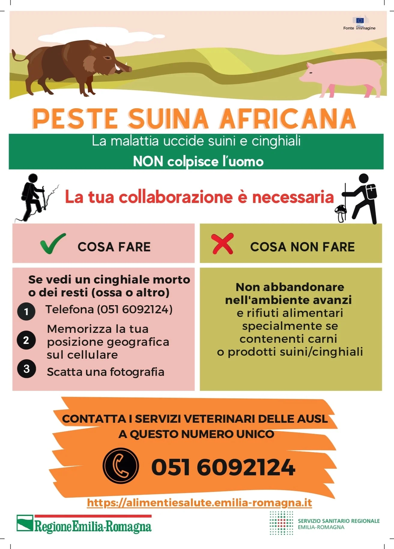 PesteSuinaVolantinoRegione
