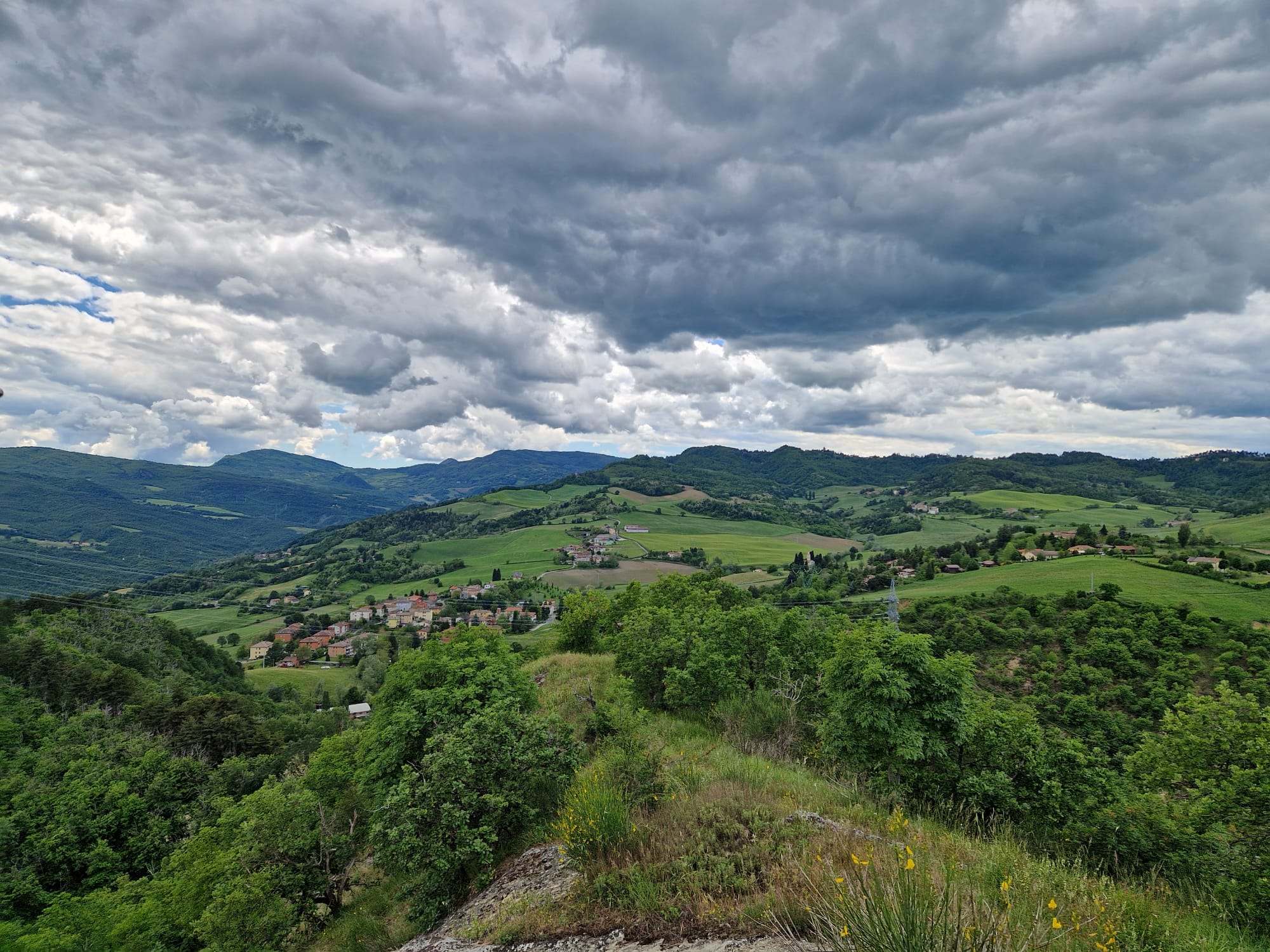 BomArt2 Belluzzi