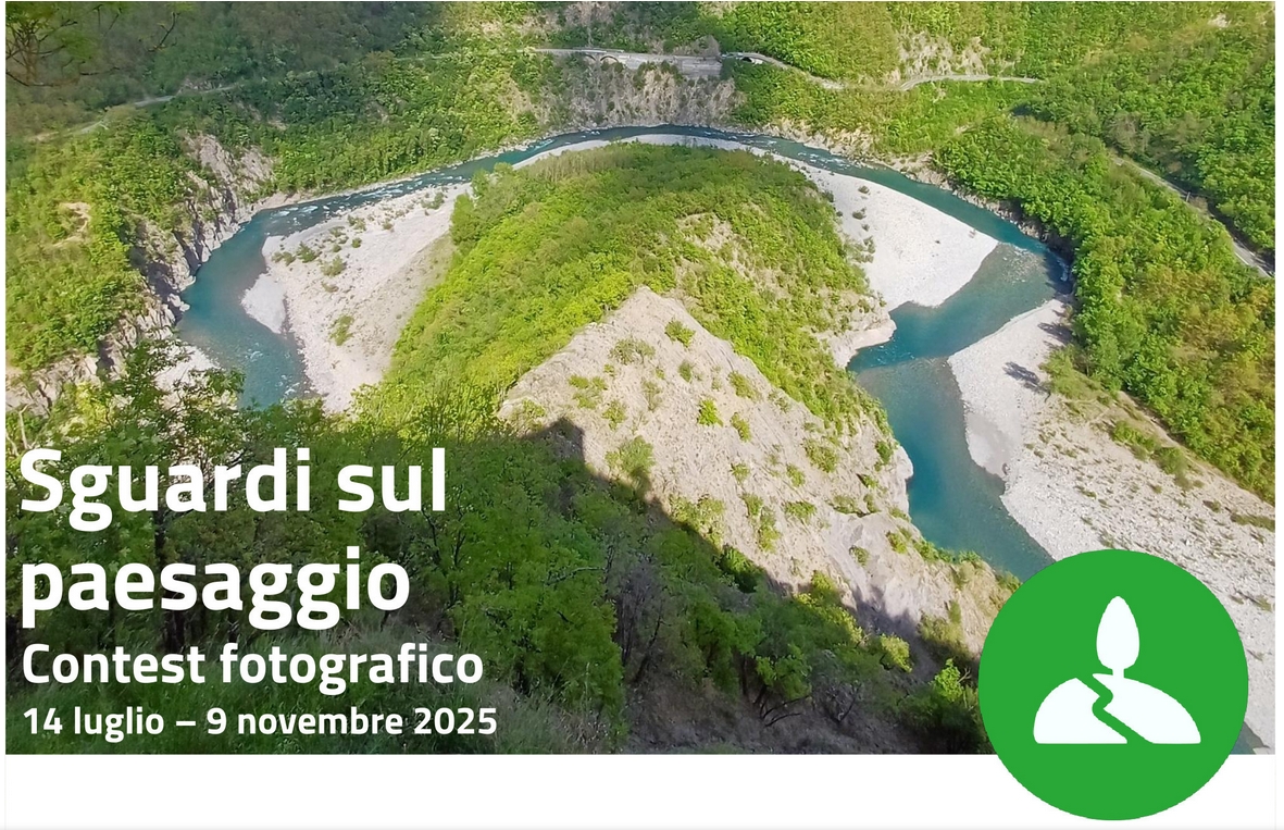 ContestFotograficoImg