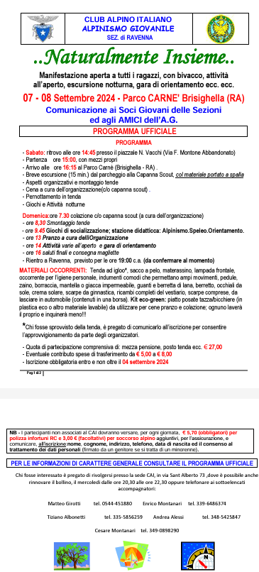 insieme