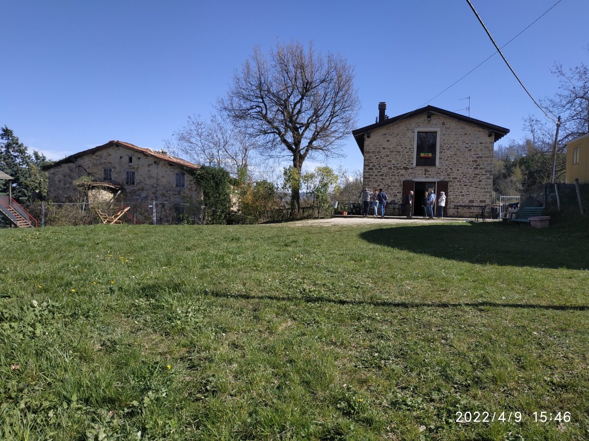 acatu prato