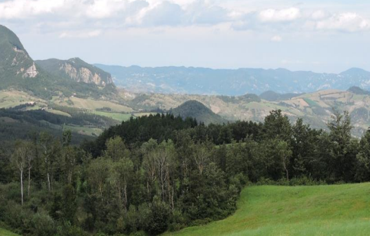 bel poggio