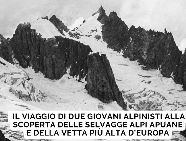 voci
