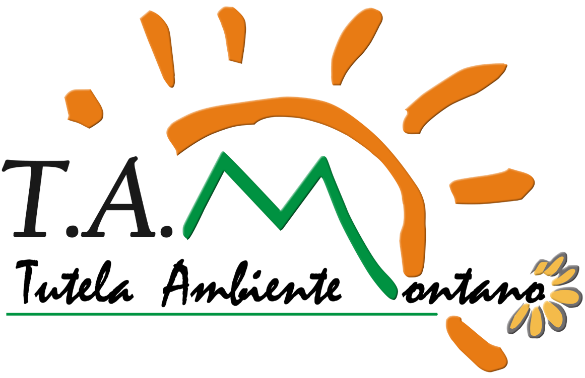 LogoTAM